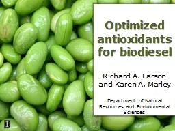 Optimized antioxidants for
