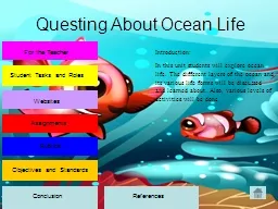 Questing About Ocean Life