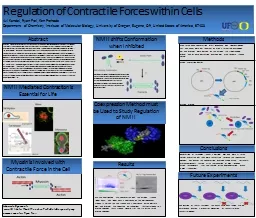 Regulation of Contractile Forces within Cells