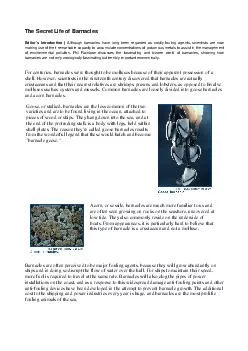 The Secret Life of Barnacles Editors Introduction  Although barnacles have long been regarded as costly fouling agents scientists are now making use of their remarkable capacity to accumulate concent