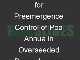 Evaluation of Dimension and Barricade for Preemergence Control of Poa Annua in Overseeded