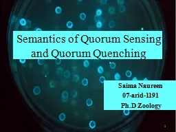 Semantics of Quorum Sensing and Quorum Quenching