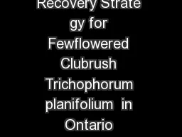 EXECUTIVE SUMMARY  Recovery Strate gy for Fewflowered Clubrush Trichophorum planifolium