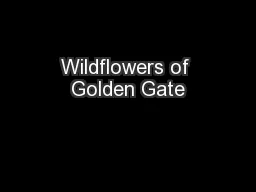 Wildflowers of Golden Gate