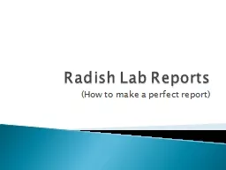 Radish Lab Reports