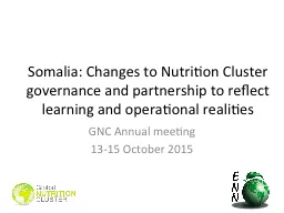 Somalia: Changes to Nutrition Cluster governance and partne