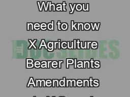 eycomIFRS Issue   July  IFRS Developments Bearer plants the new requirements What you need to know X Agriculture Bearer Plants Amendments to IAS  and IAS  changes the accounting requirements for biol