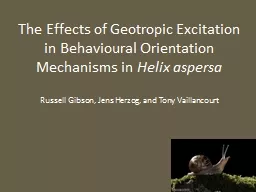 The Effects of Geotropic Excitation in Behavioural Orientat