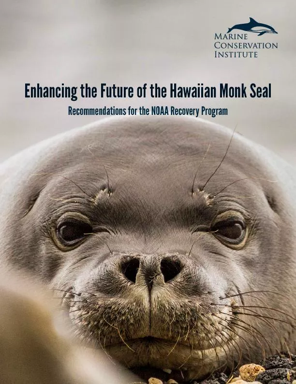 Enhancing the Future of the Hawaiian Monk Seal