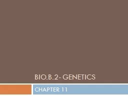 Bio.B.2- Genetics