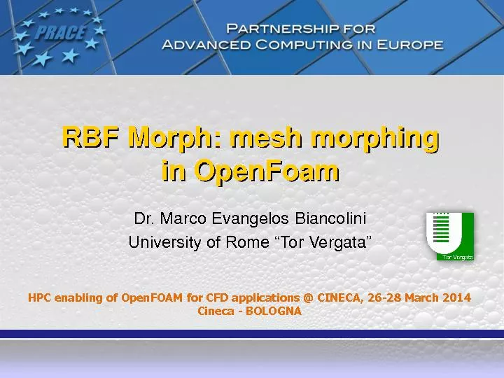 RBF Morph: mesh morphing