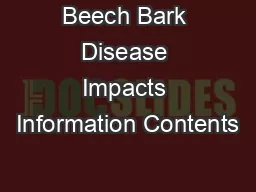 Beech Bark Disease Impacts Information Contents