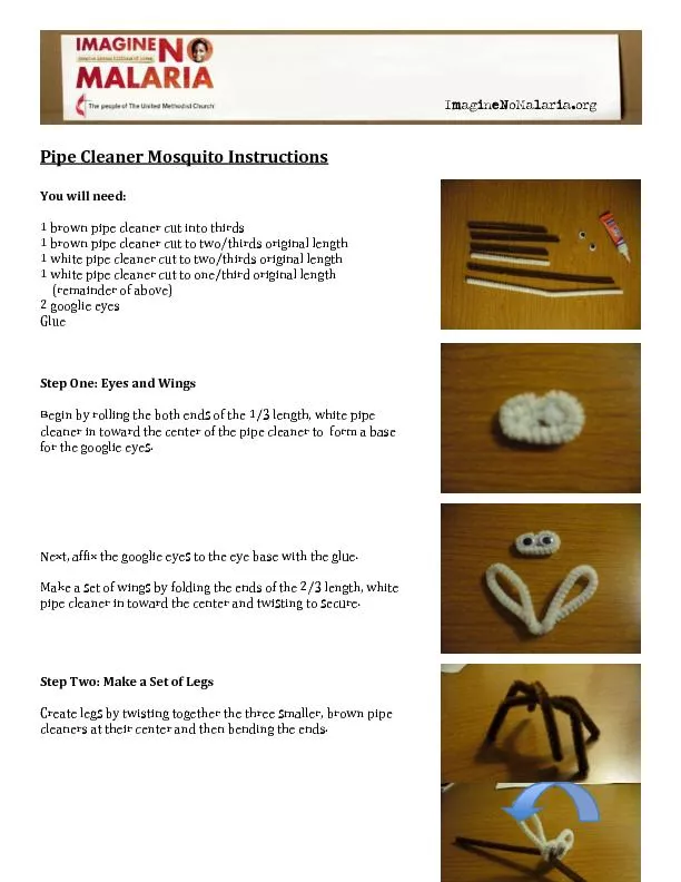 Pipe Cleaner Mosquito Instructions