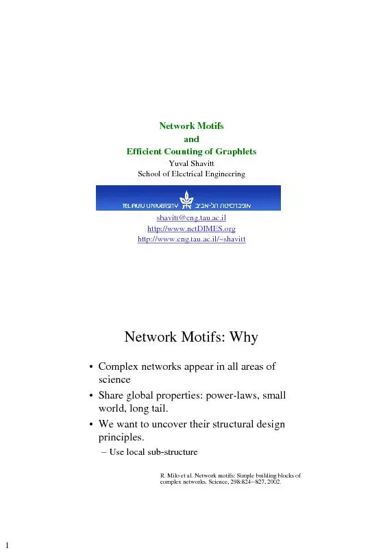 Network Motifs