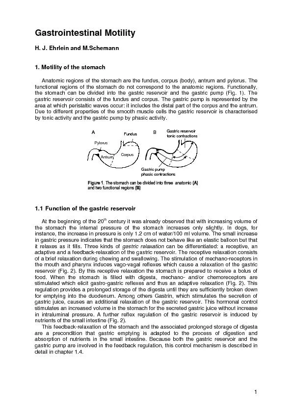 Gastrointestinal Motility  H. J. Ehrlein and M.Schemann 1. Motility of