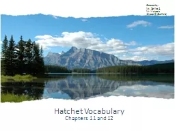 Hatchet Vocabulary