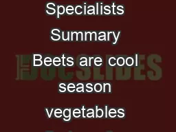 Beets in the Garden Dan Drost and Wade Bitner  Vegetable Specialists Summary Beets are cool season vegetables that pr efer sunny locations and fertile deep welldrained soils