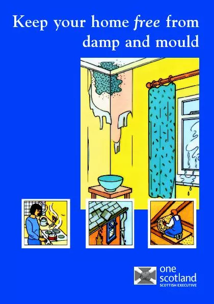 Keep your home freefromdamp and mould