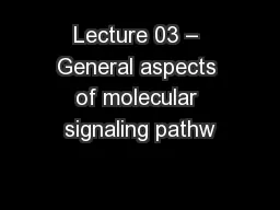 Lecture 03 – General aspects of molecular signaling pathw
