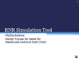 RNR Simulation Tool