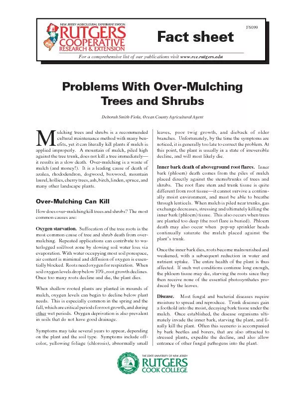 Problems With Over-MulchingTrees and Shrubsapplied improperly.  A moun