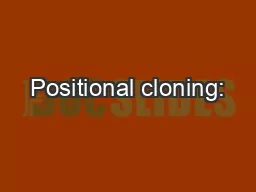 Positional cloning: