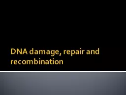 DNA damage, repair and recombination