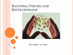 Bacteria, Viruses and Biotechnology