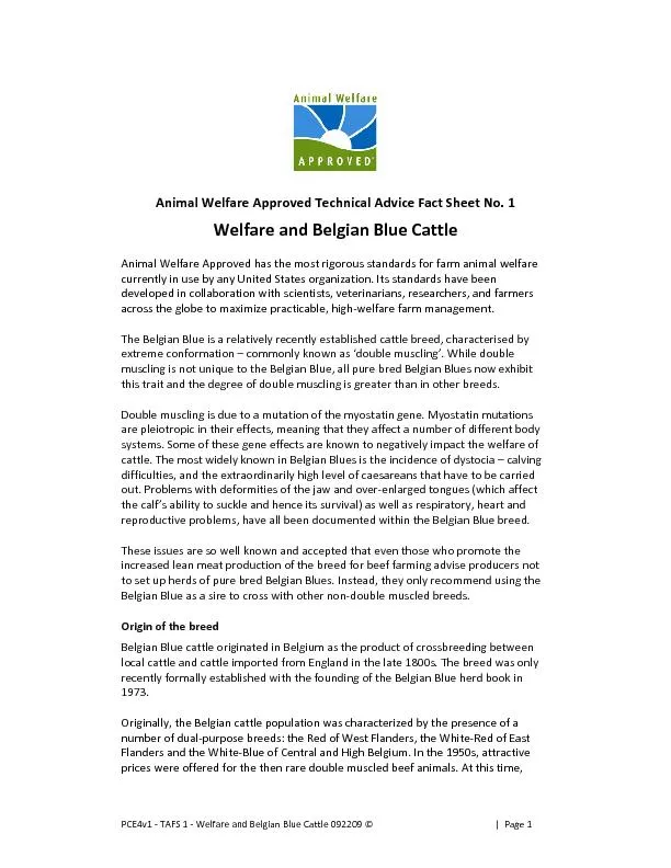 andCattle092209