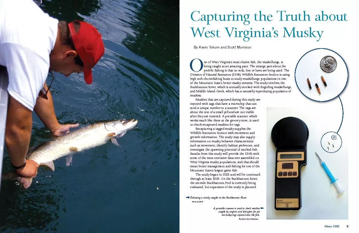 Capturing the Truth about West Virginia’s MuskyBy Kevin Yokum and