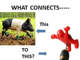 WHAT CONNECTS-----