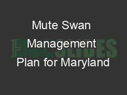 Mute Swan Management Plan for Maryland