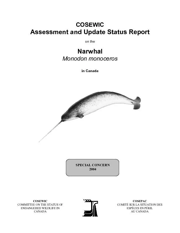 COSEWIC Assessment and Update Status Report  on the  Narwhal Monodon m