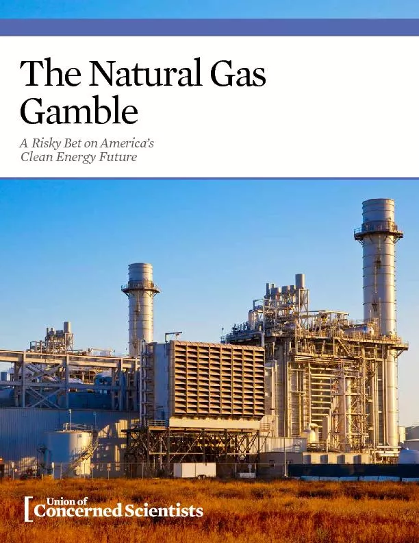The Natural Gas A Risky Bet on America
