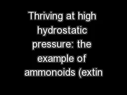 Thriving at high hydrostatic pressure: the example of ammonoids (extin