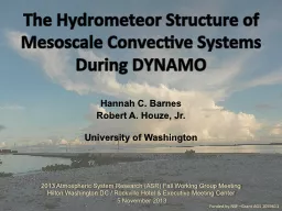 The Hydrometeor Structure of