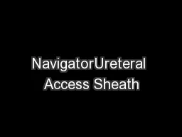 NavigatorUreteral Access Sheath