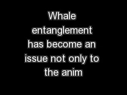 Whale entanglement has become an issue not only to the anim