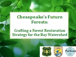 Chesapeake's Future Forests: