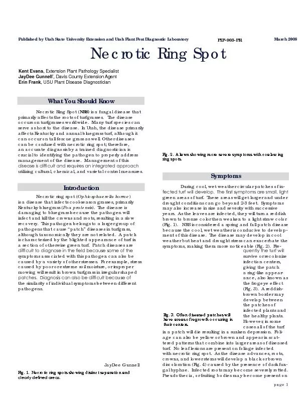 Necrotic Ring Spot (primarily affects the roots of turfgrasses.   The