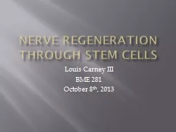 Nerve Regeneration through stem cells