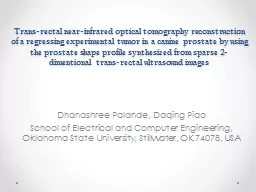 Trans-rectal near-infrared optical tomography reconstructio