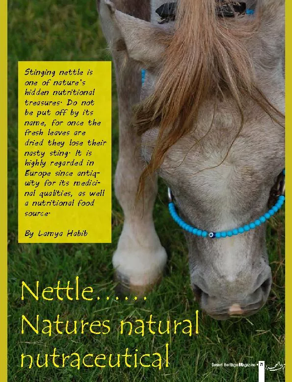 Nettle……Natures natural