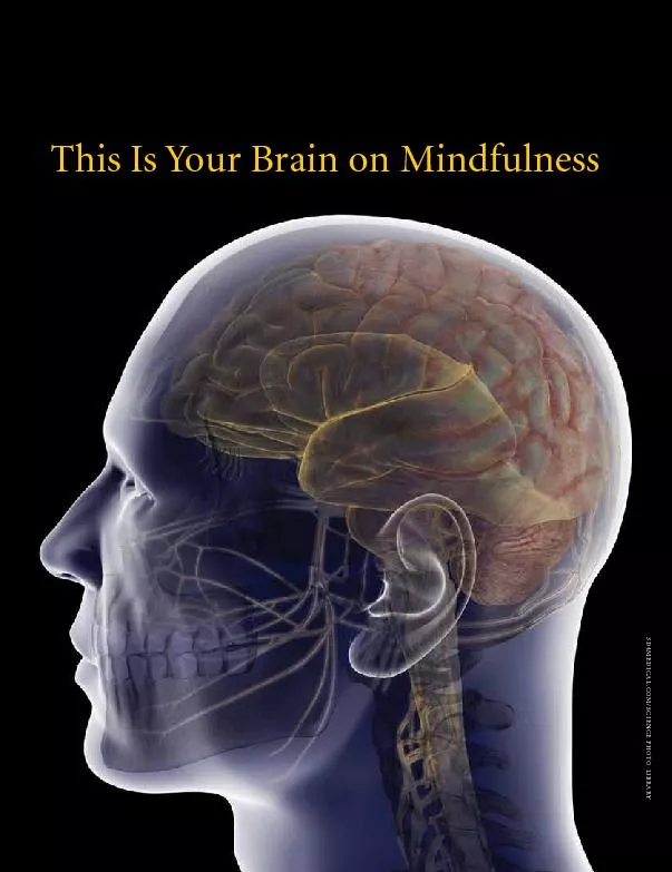 This Is Your Brain on Mindfulness3D4MEDICAL.COM/SCIENCE PHOTO LIBRARY