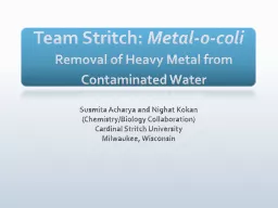 Team Stritch: