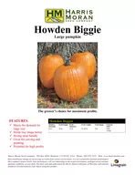 Howden Biggie Large pumpkin Howden Biggie FEATURES Meets the demand for large size Holds