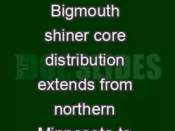 Bigmouth Shiner  Notropis dorsalis Introduction Bigmouth shiner core distribution extends