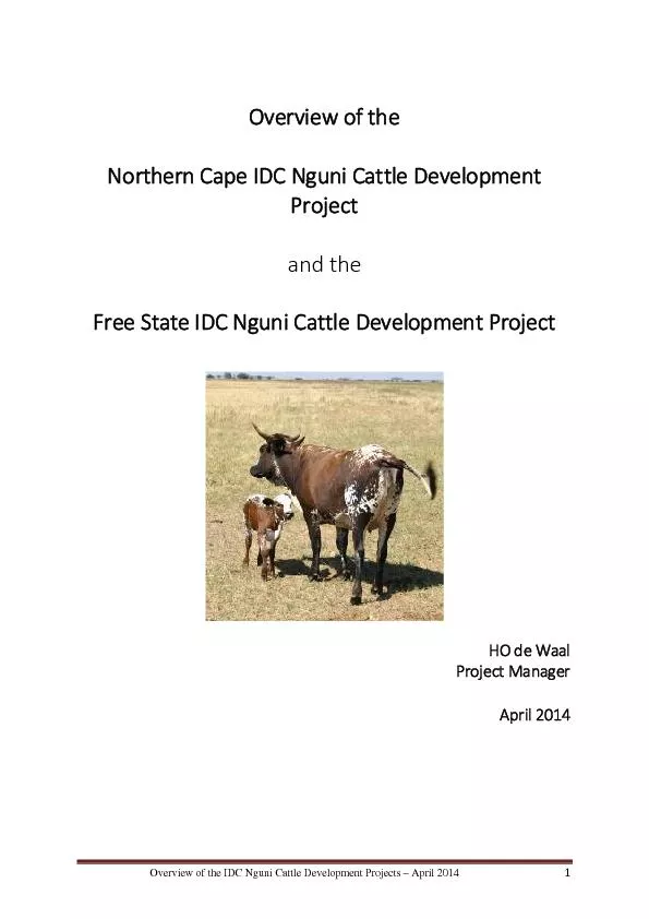 overview of the idc nguni cattl