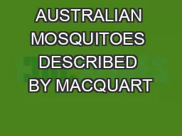 AUSTRALIAN MOSQUITOES DESCRIBED BY MACQUART