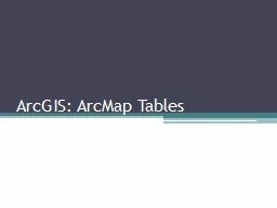 ArcGIS: ArcMap Tables